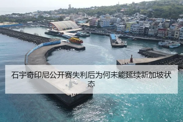 石宇奇印尼公开赛失利后为何未能延续新加坡状态
